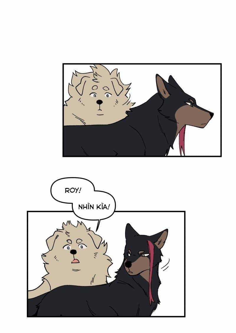 Lumine Chapter 163 trang 17