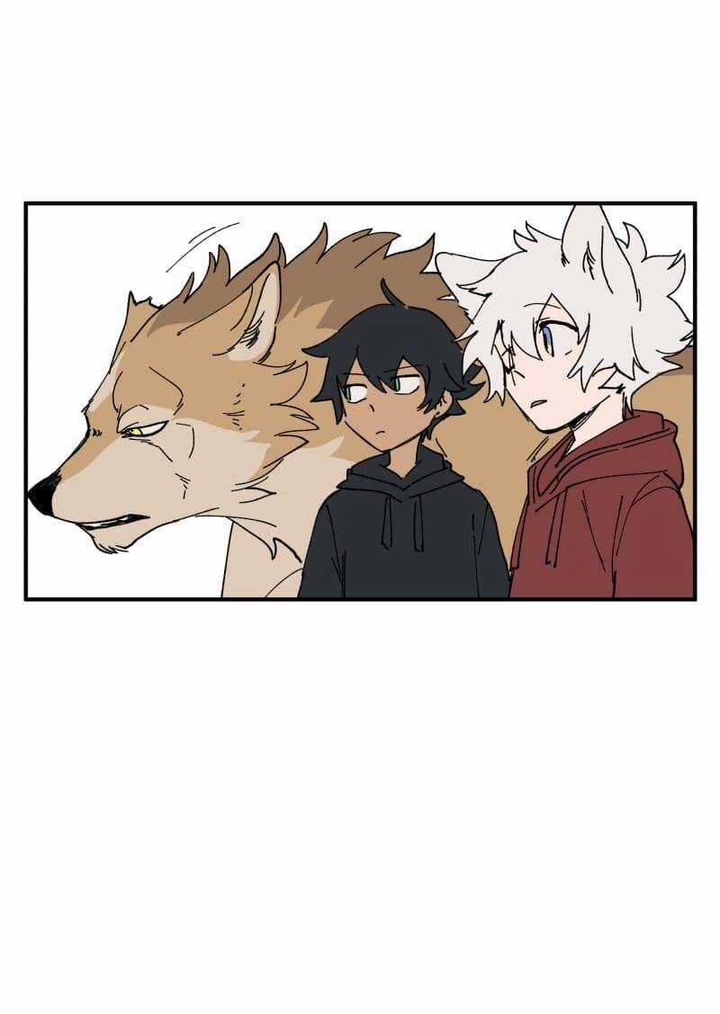 Lumine Chapter 164 trang 26