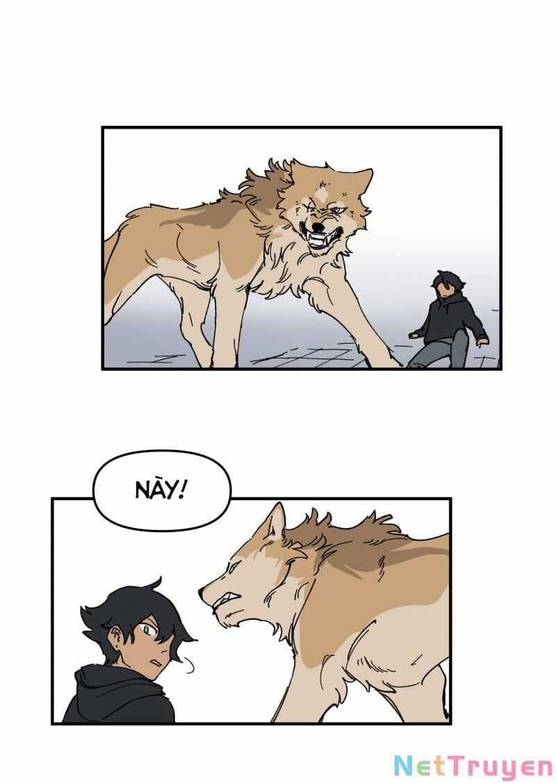 Lumine Chapter 165 trang 25