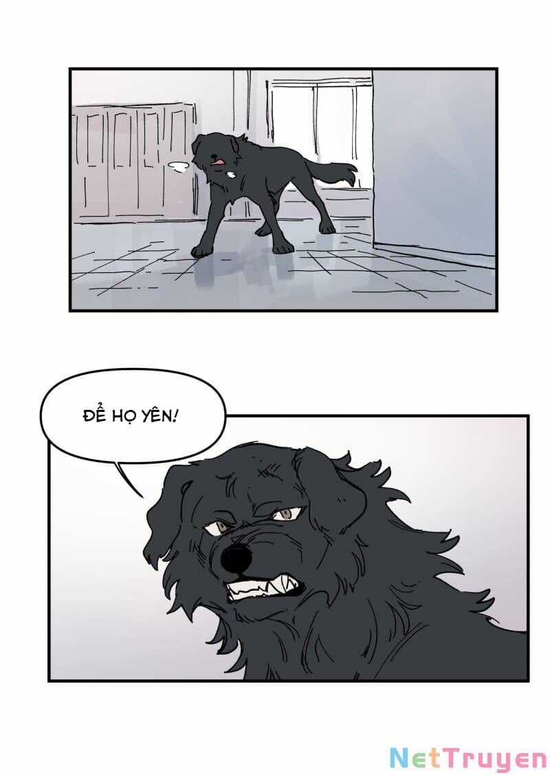 Lumine Chapter 165 trang 26