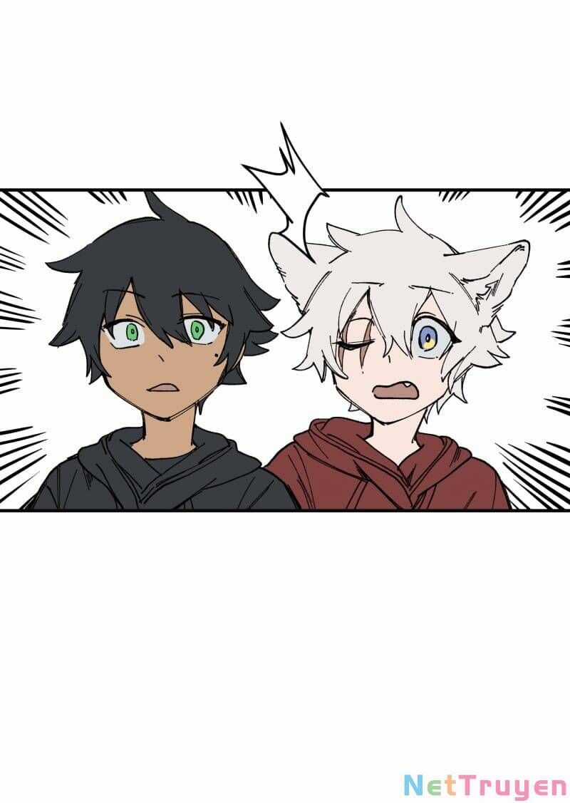 Lumine Chapter 165 trang 3