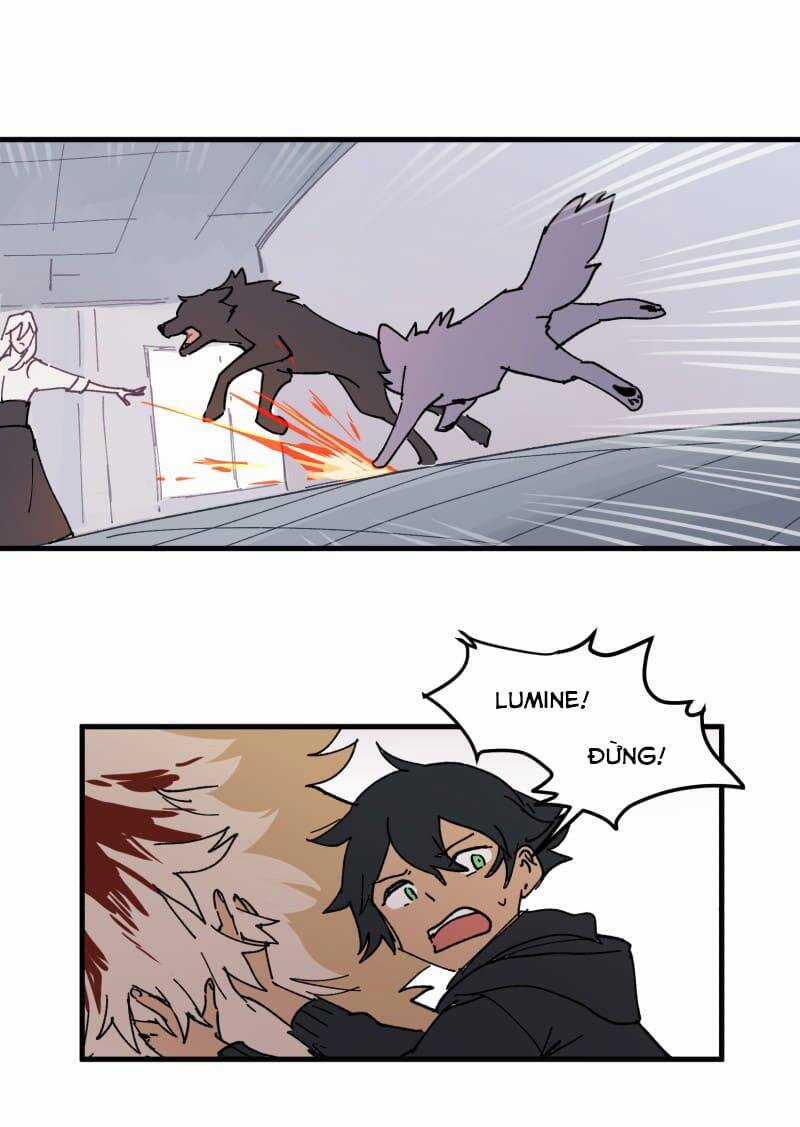Lumine Chapter 166 trang 19