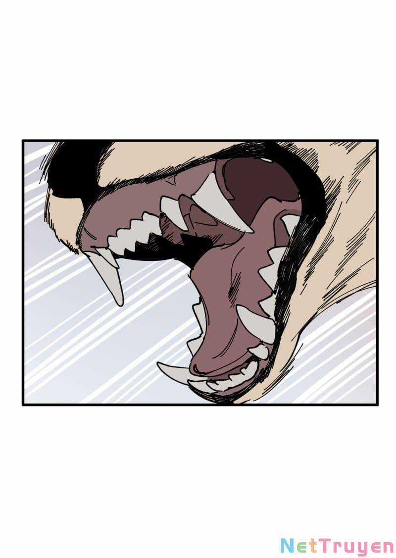 Lumine Chapter 167 trang 15