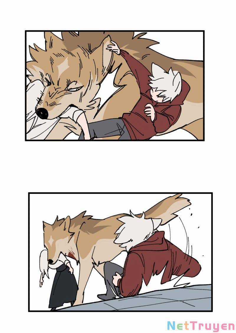 Lumine Chapter 167 trang 19