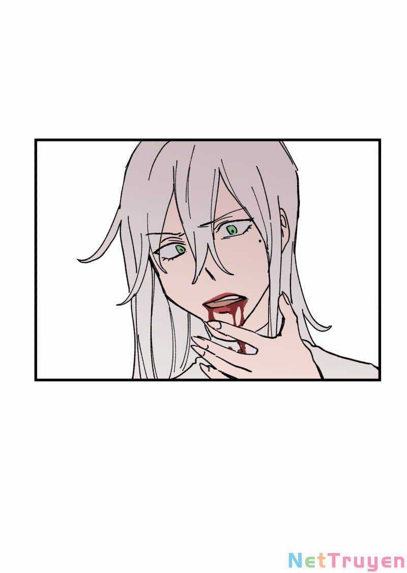 Lumine Chapter 167 trang 2