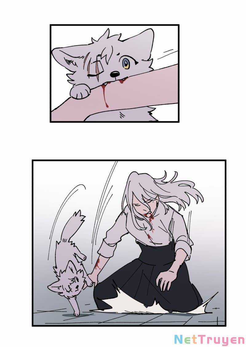 Lumine Chapter 167 trang 3