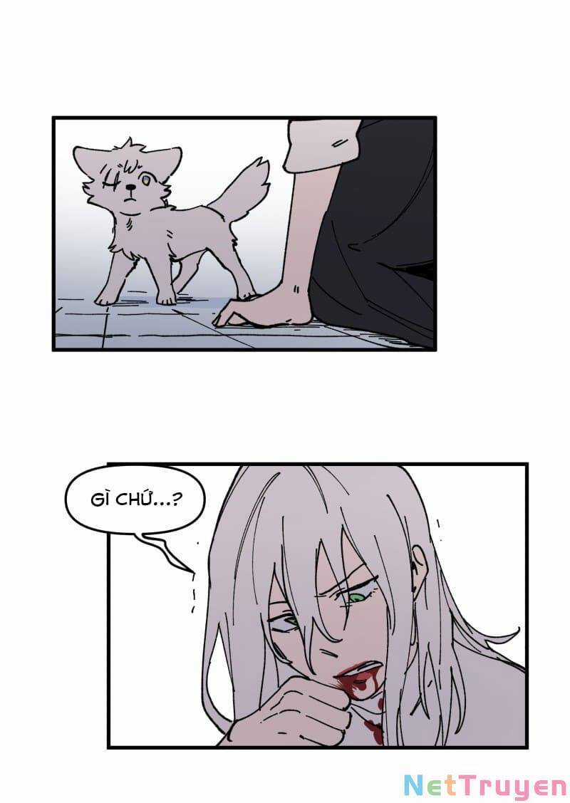 Lumine Chapter 167 trang 4