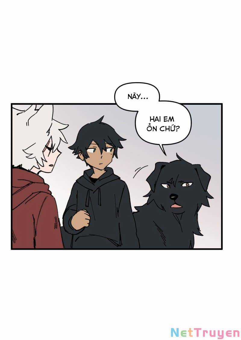 Lumine Chapter 167 trang 9