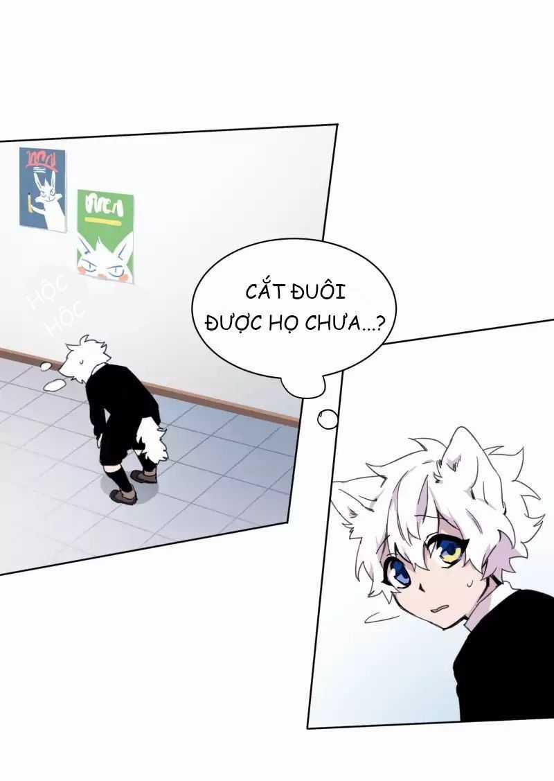 Lumine Chapter 19 trang 22