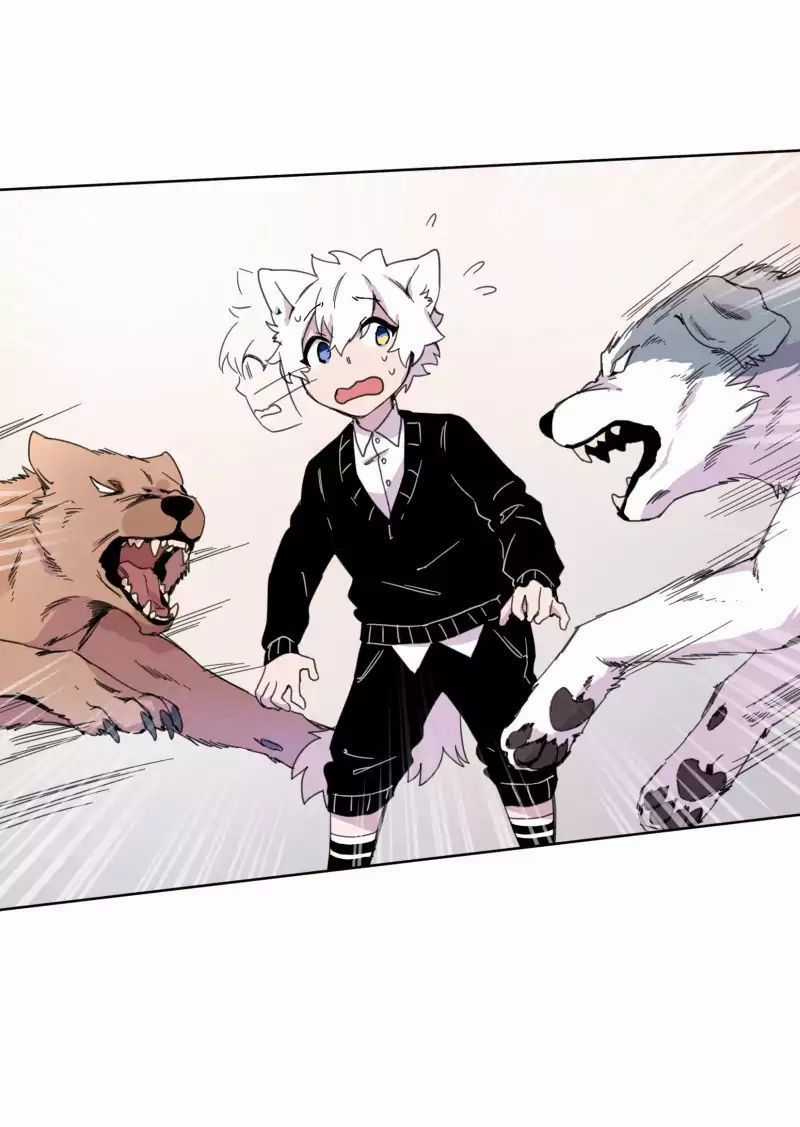 Lumine Chapter 19 trang 24