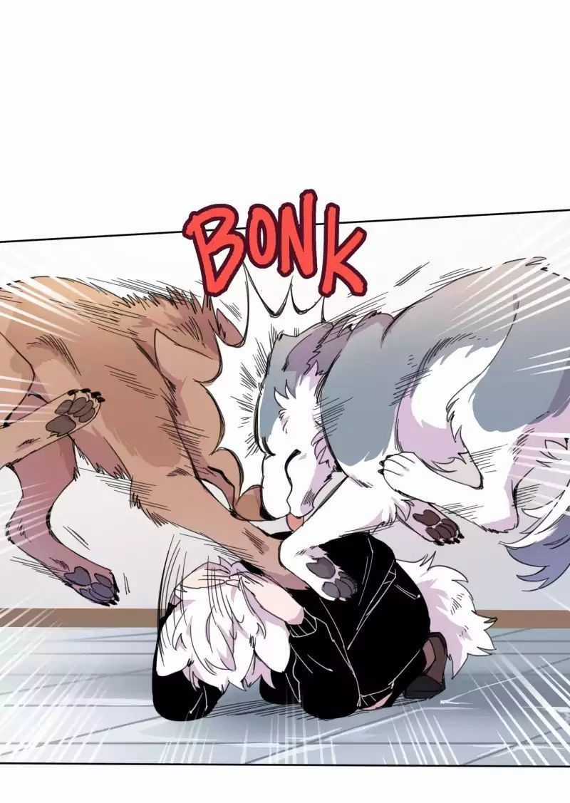 Lumine Chapter 19 trang 25