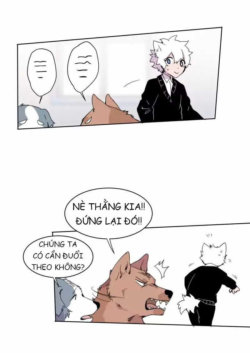 Lumine Chapter 19 trang 27