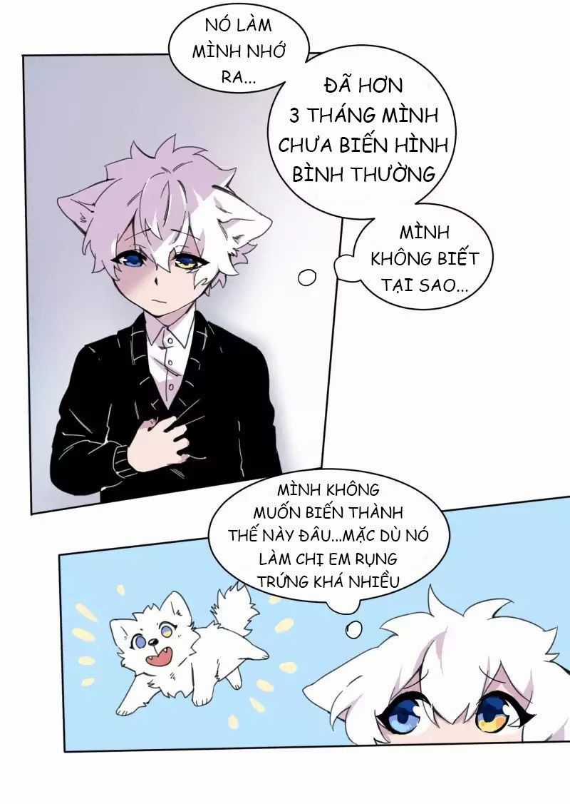 Lumine Chapter 19 trang 36