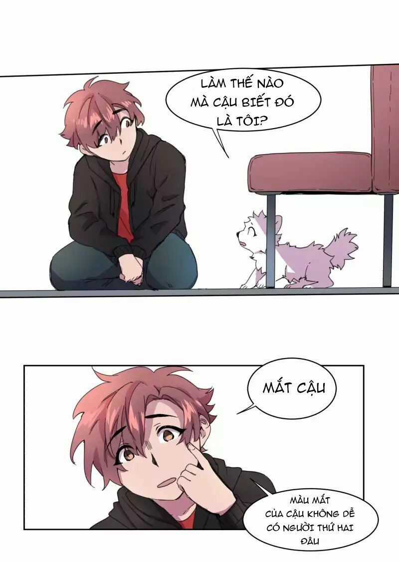 Lumine Chapter 22 trang 3