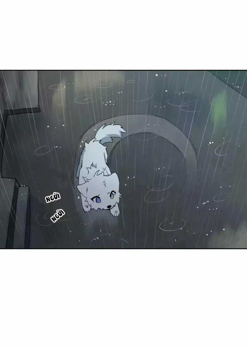 Lumine Chapter 23 trang 19