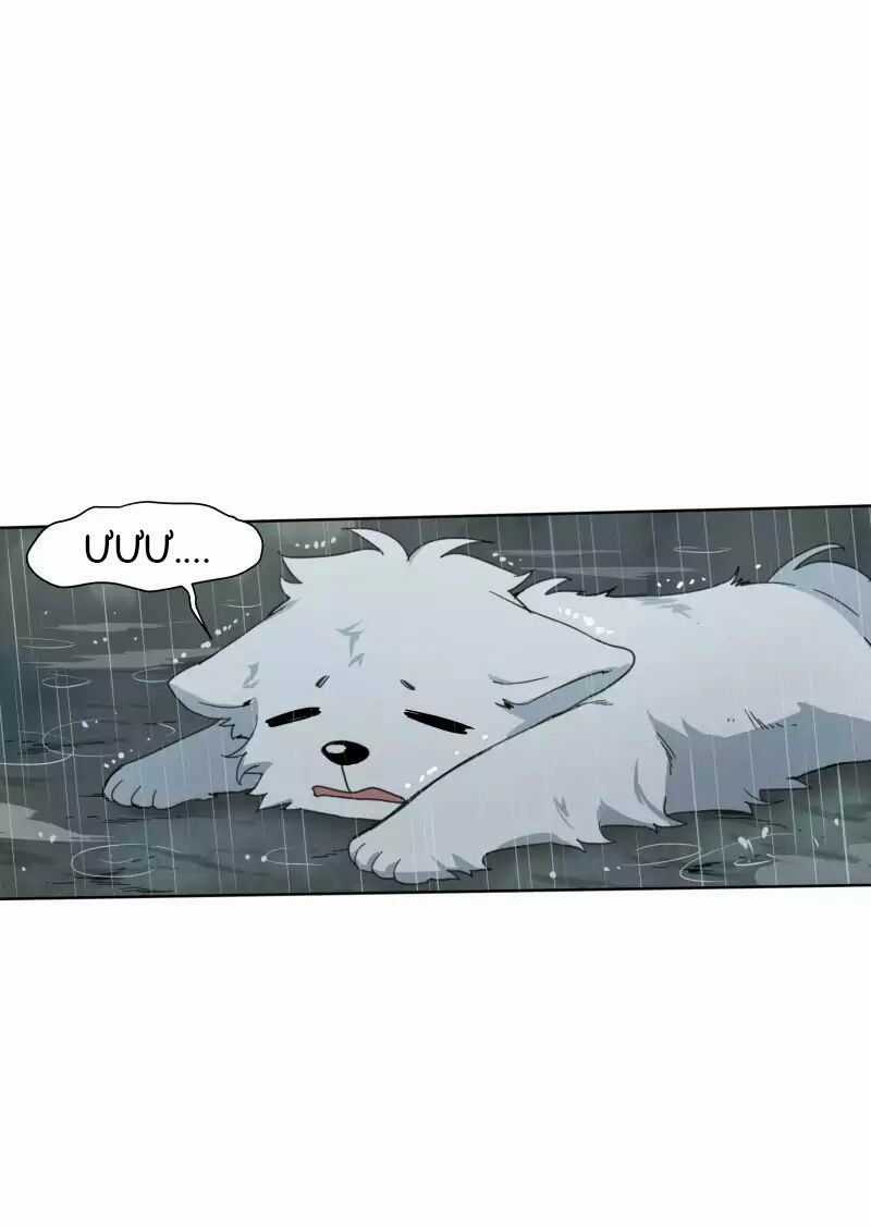 Lumine Chapter 23 trang 33