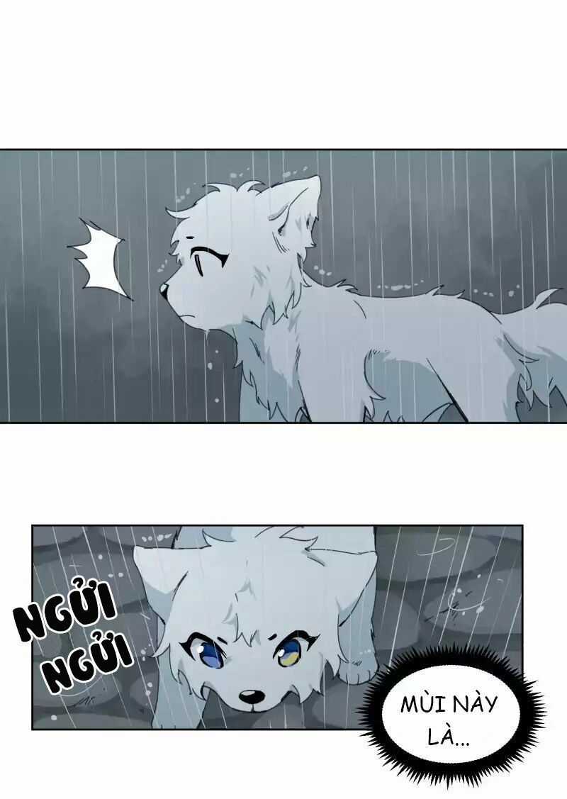 Lumine Chapter 23 trang 37