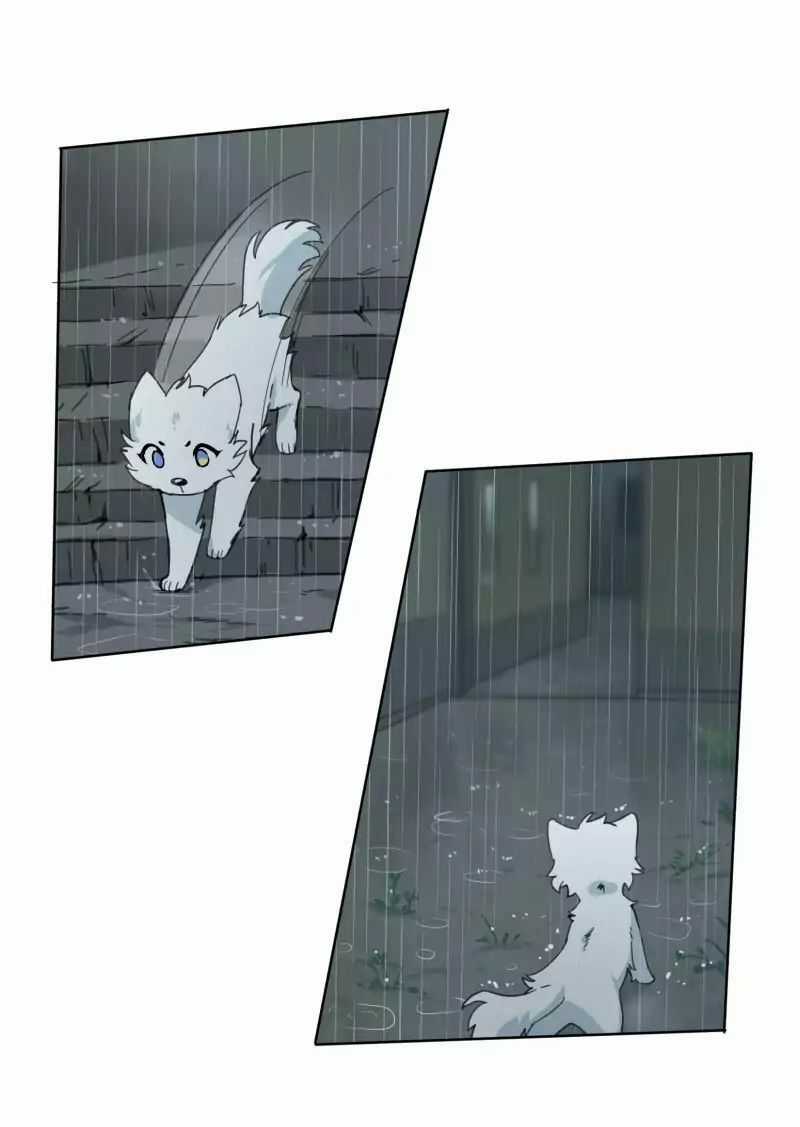 Lumine Chapter 23 trang 39