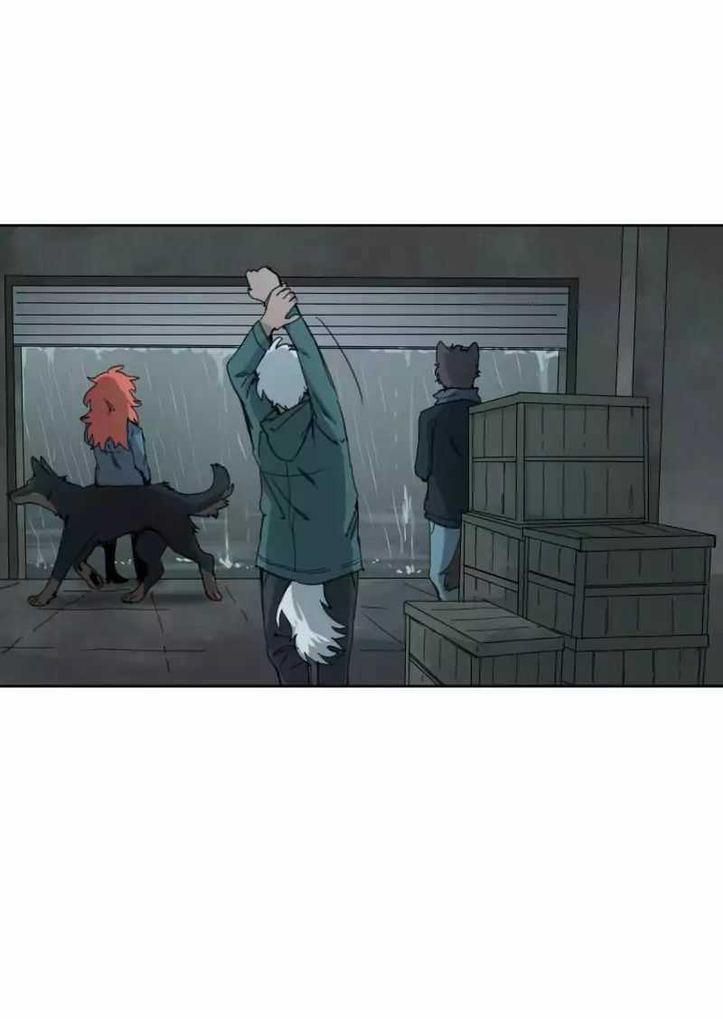 Lumine Chapter 24 trang 11