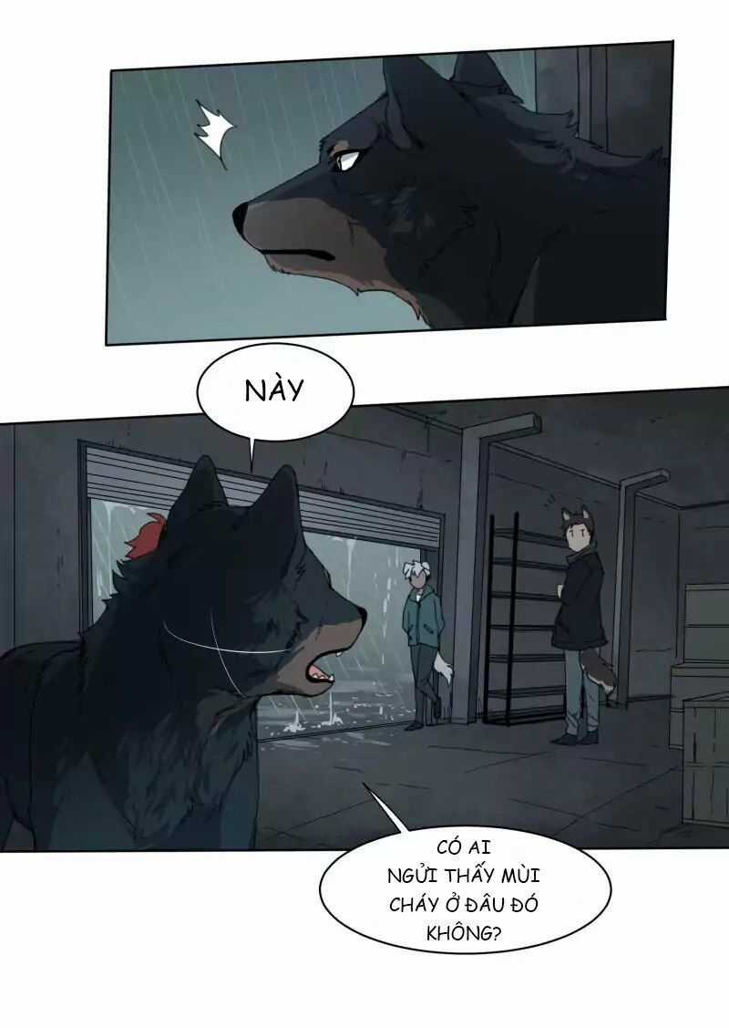 Lumine Chapter 24 trang 17