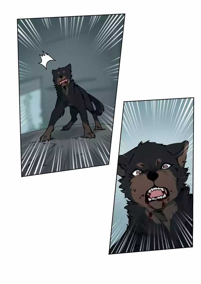 Lumine Chapter 26 trang 38