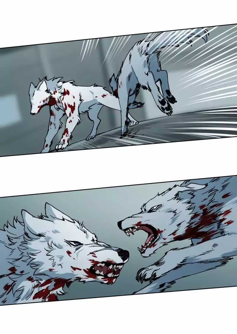 Lumine Chapter 26 trang 42