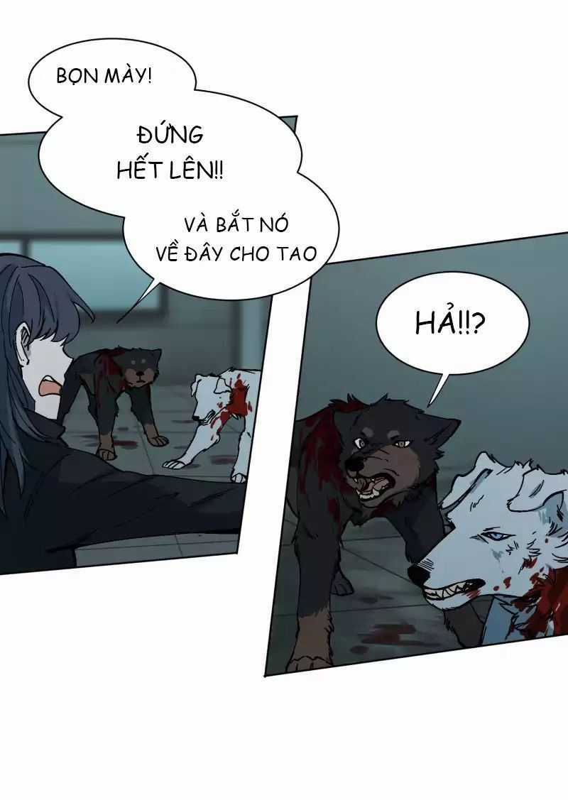 Lumine Chapter 27 trang 13