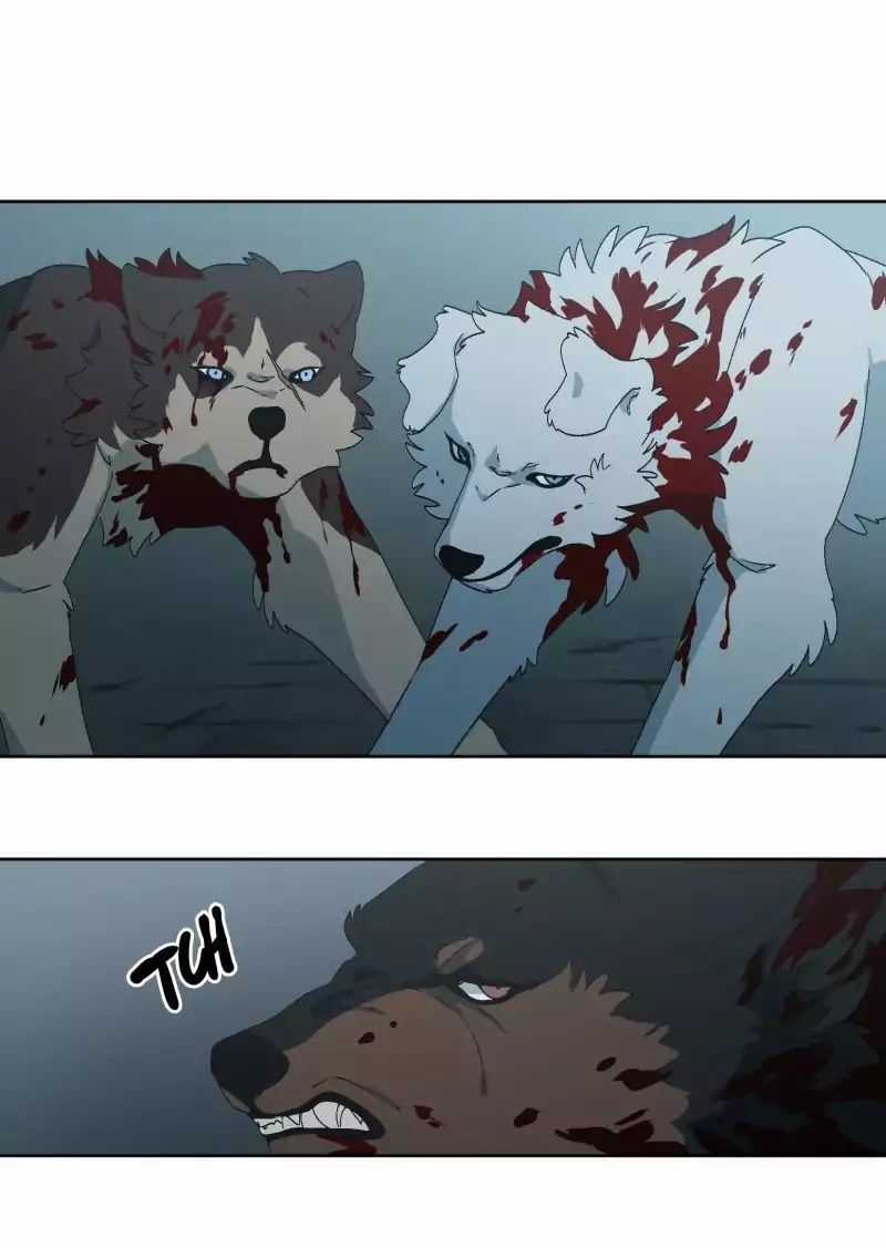 Lumine Chapter 29 trang 7