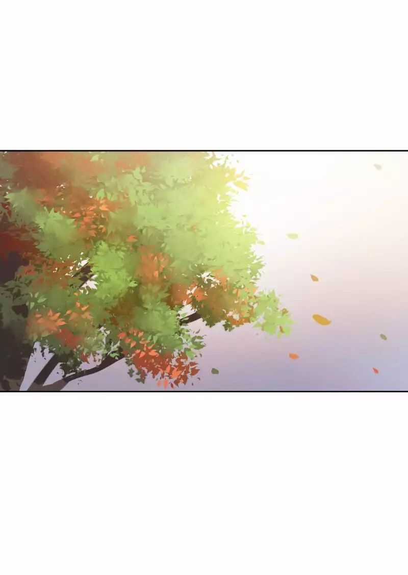 Lumine Chapter 30 trang 2