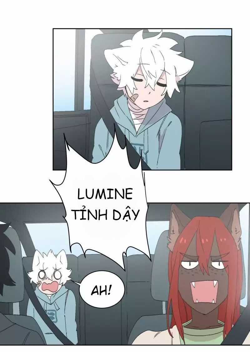 Lumine Chapter 30 trang 25