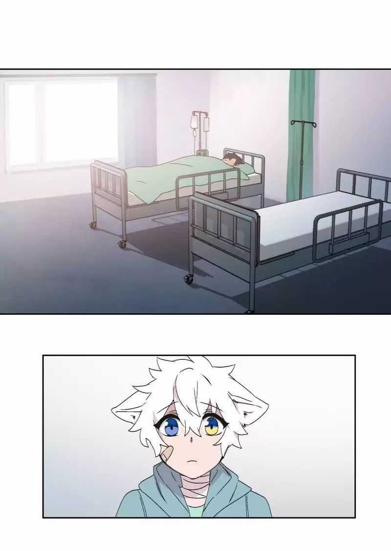 Lumine Chapter 30 trang 29