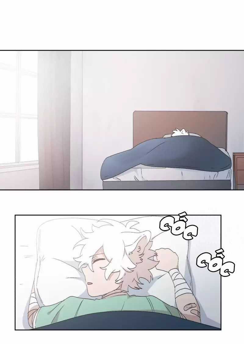 Lumine Chapter 30 trang 4