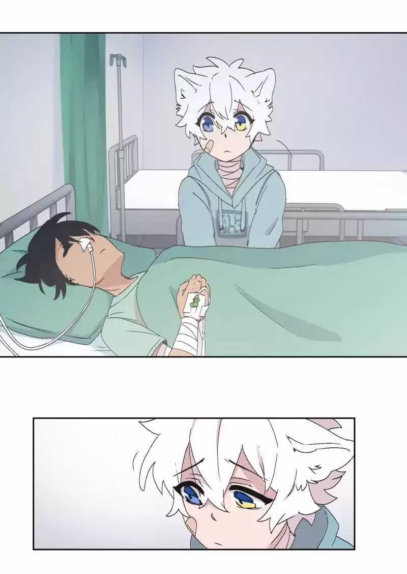 Lumine Chapter 30 trang 44