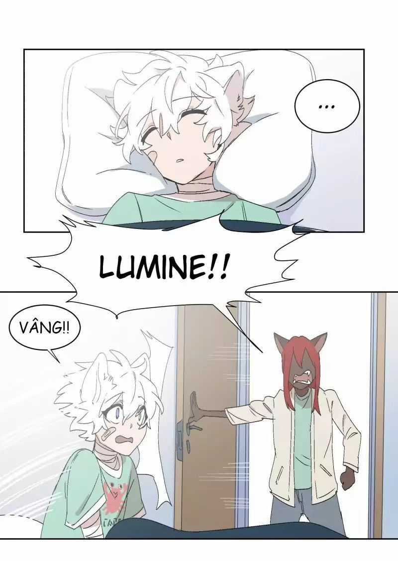 Lumine Chapter 30 trang 6