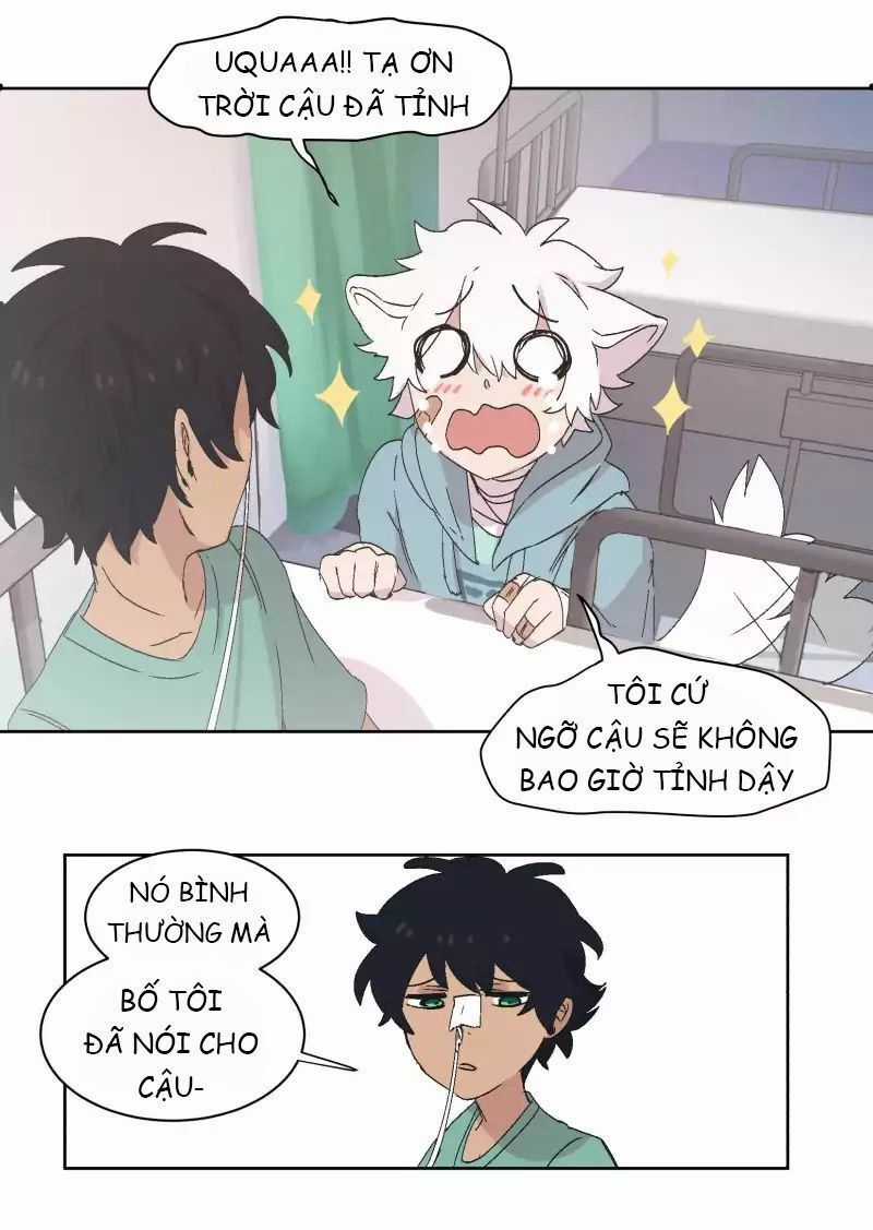 Lumine Chapter 31 trang 15