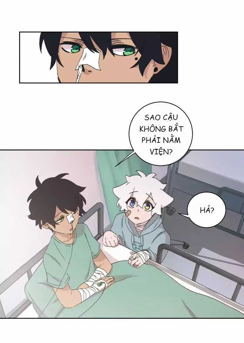 Lumine Chapter 31 trang 20