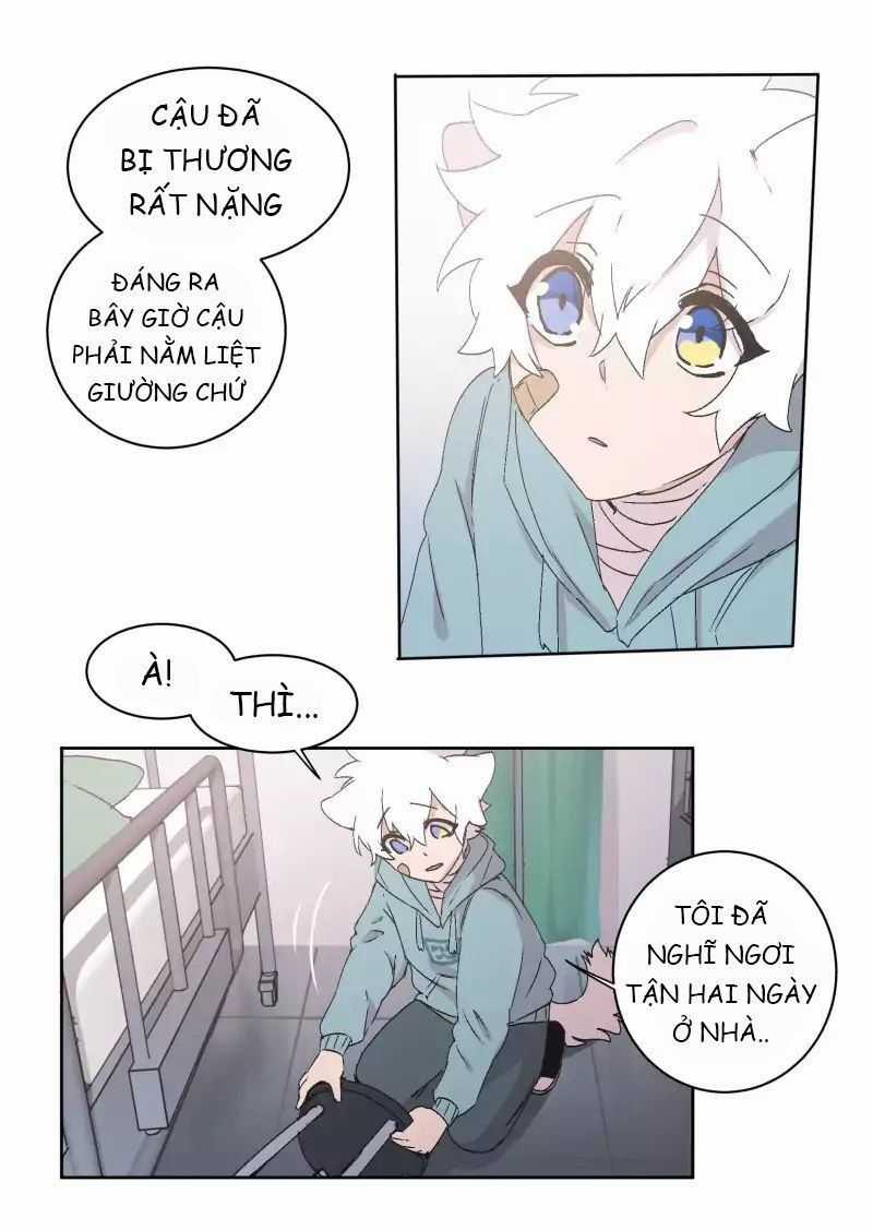 Lumine Chapter 31 trang 21