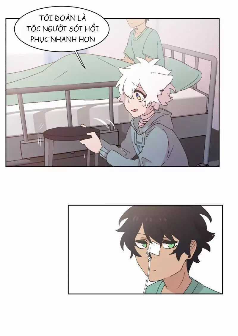 Lumine Chapter 31 trang 22