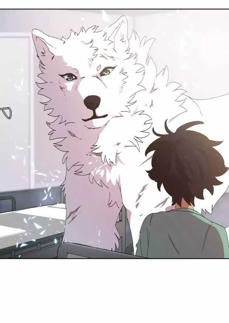 Lumine Chapter 31 trang 28