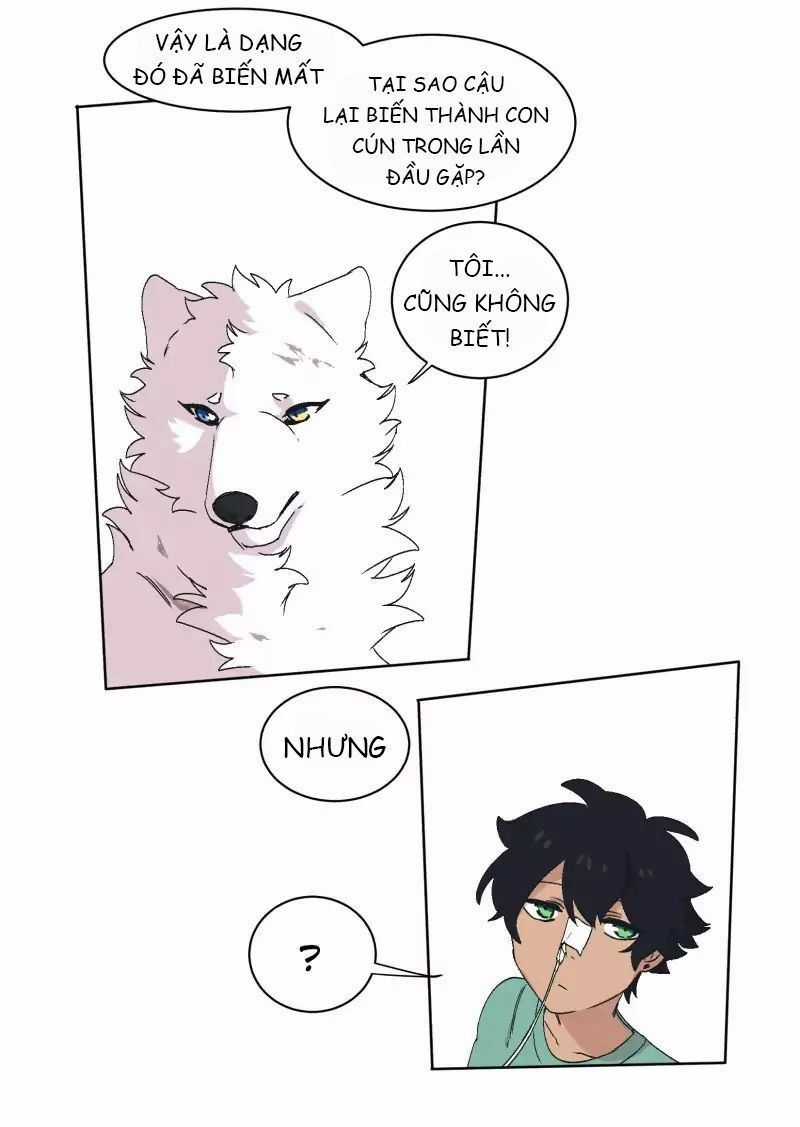 Lumine Chapter 31 trang 30