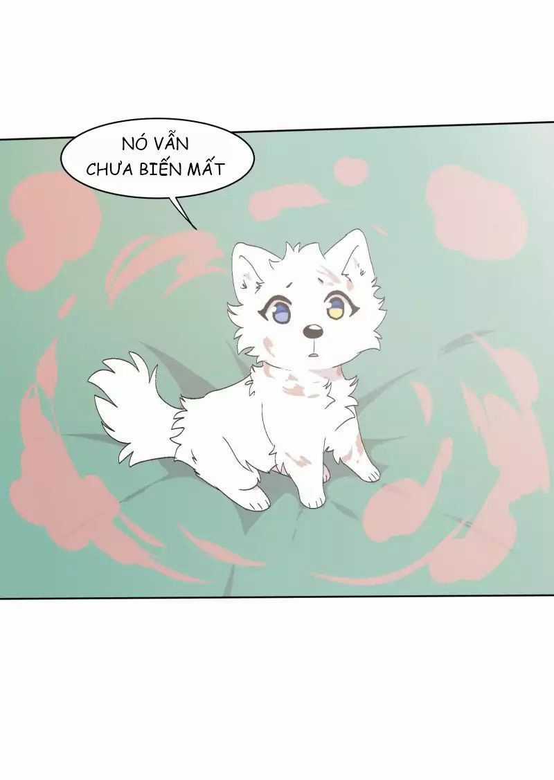 Lumine Chapter 31 trang 33