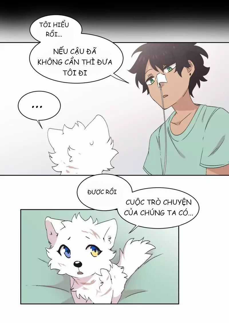 Lumine Chapter 32 trang 19