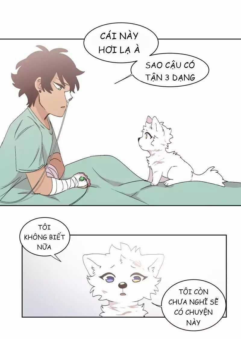 Lumine Chapter 32 trang 3