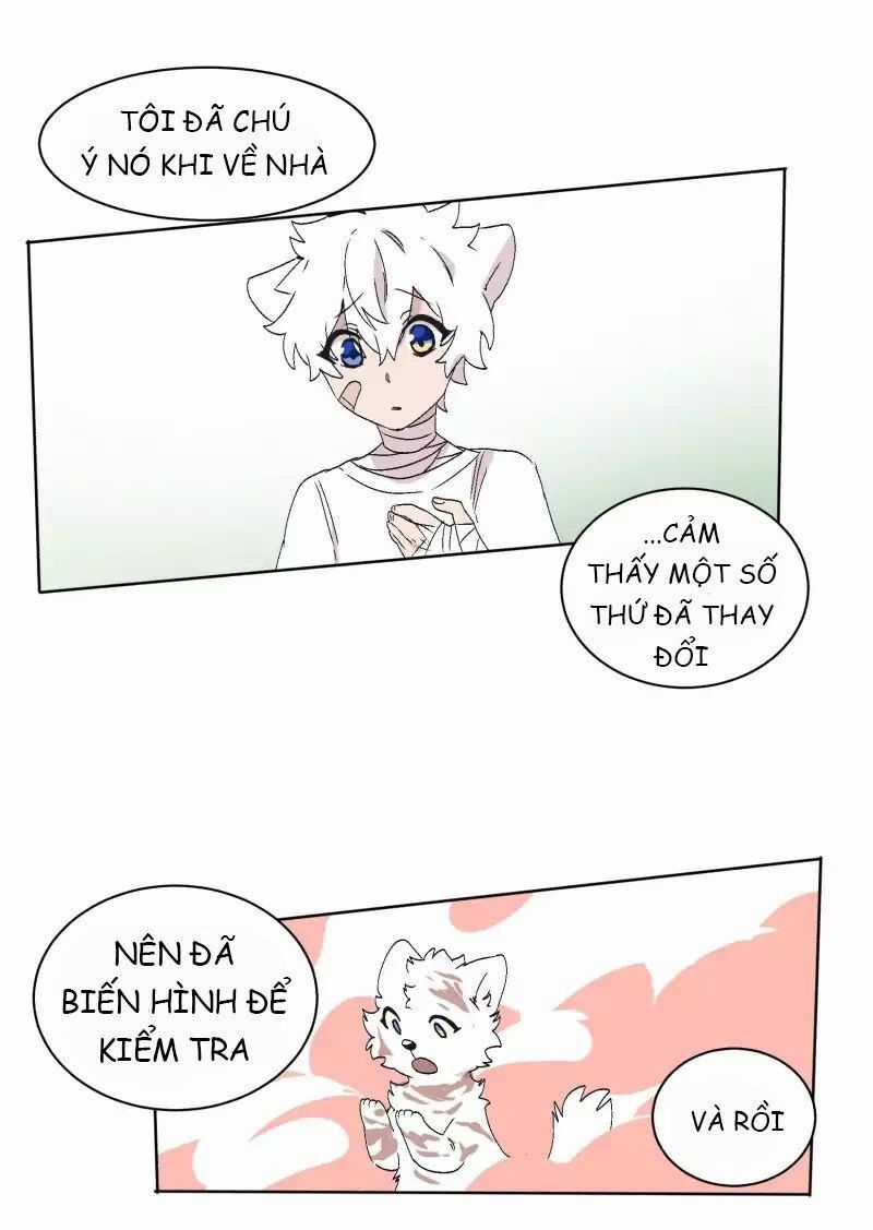 Lumine Chapter 32 trang 4