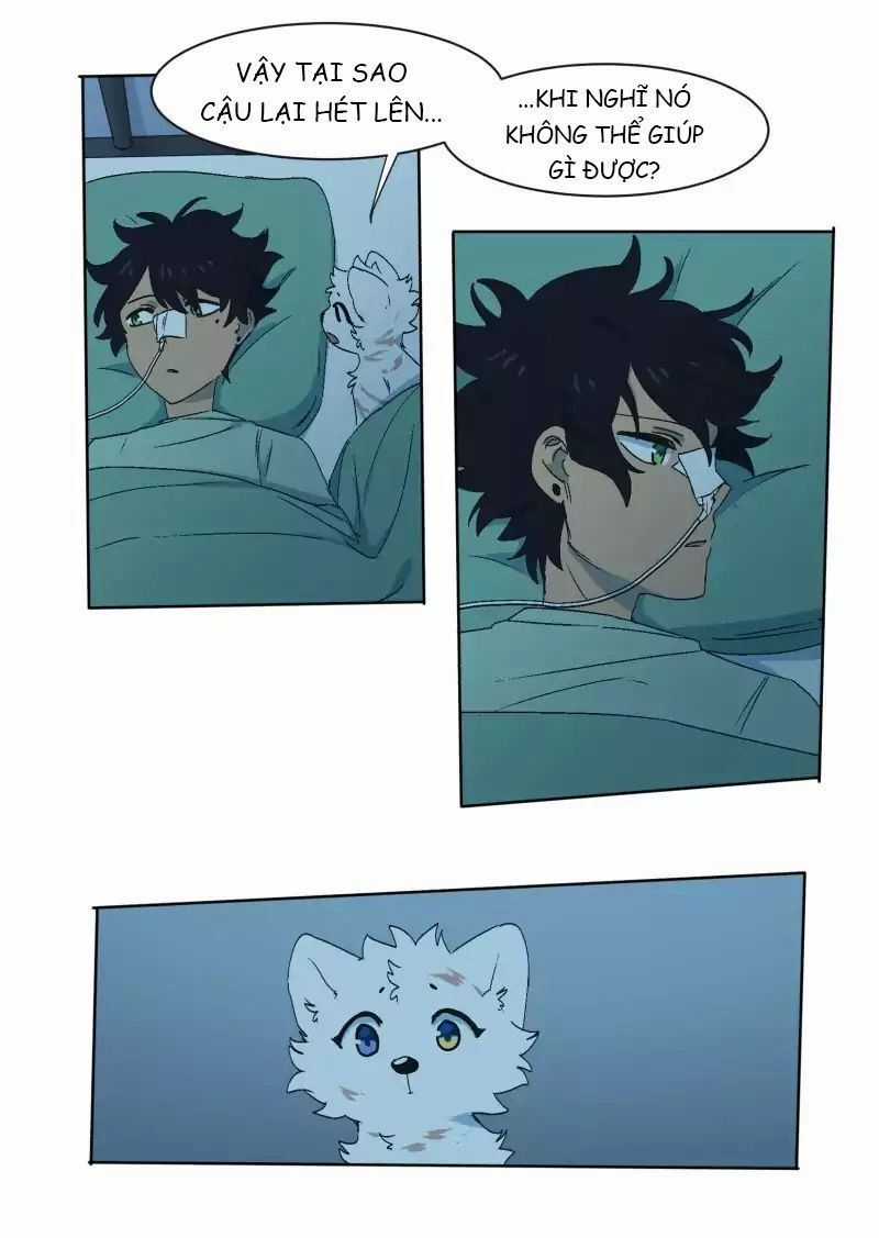 Lumine Chapter 33 trang 11