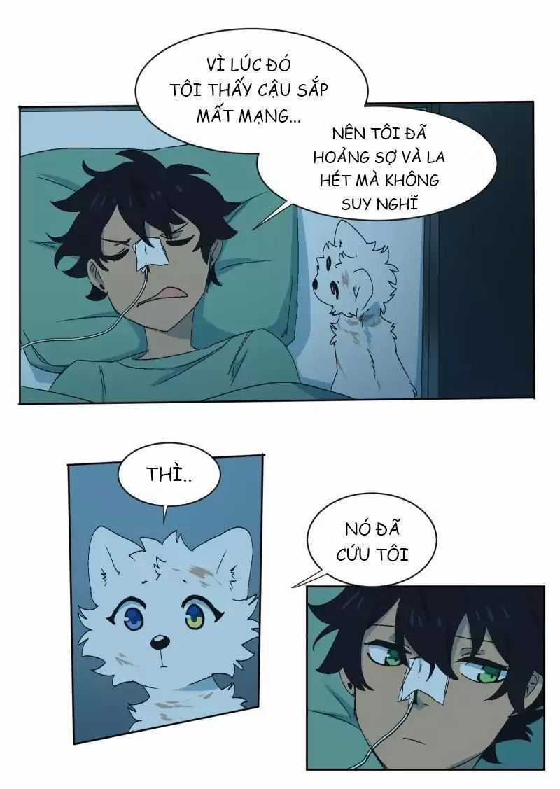 Lumine Chapter 33 trang 14