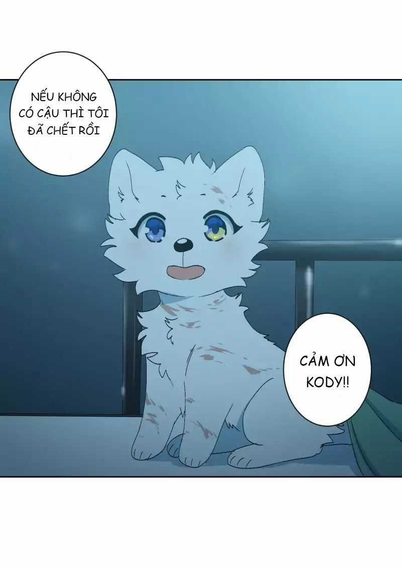 Lumine Chapter 33 trang 15