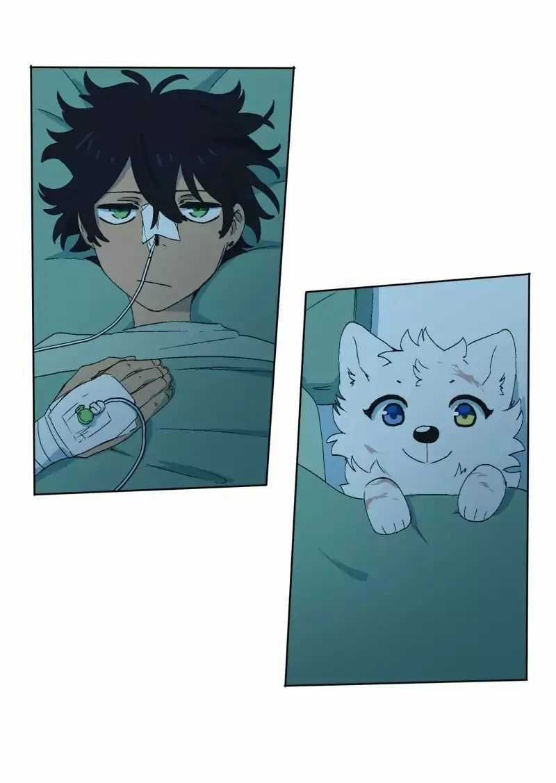 Lumine Chapter 33 trang 3