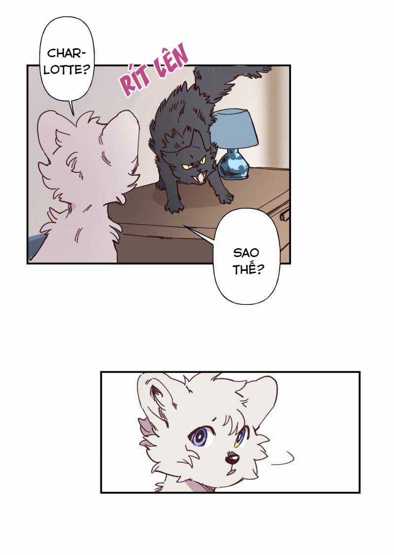 Lumine Chapter 84 trang 7