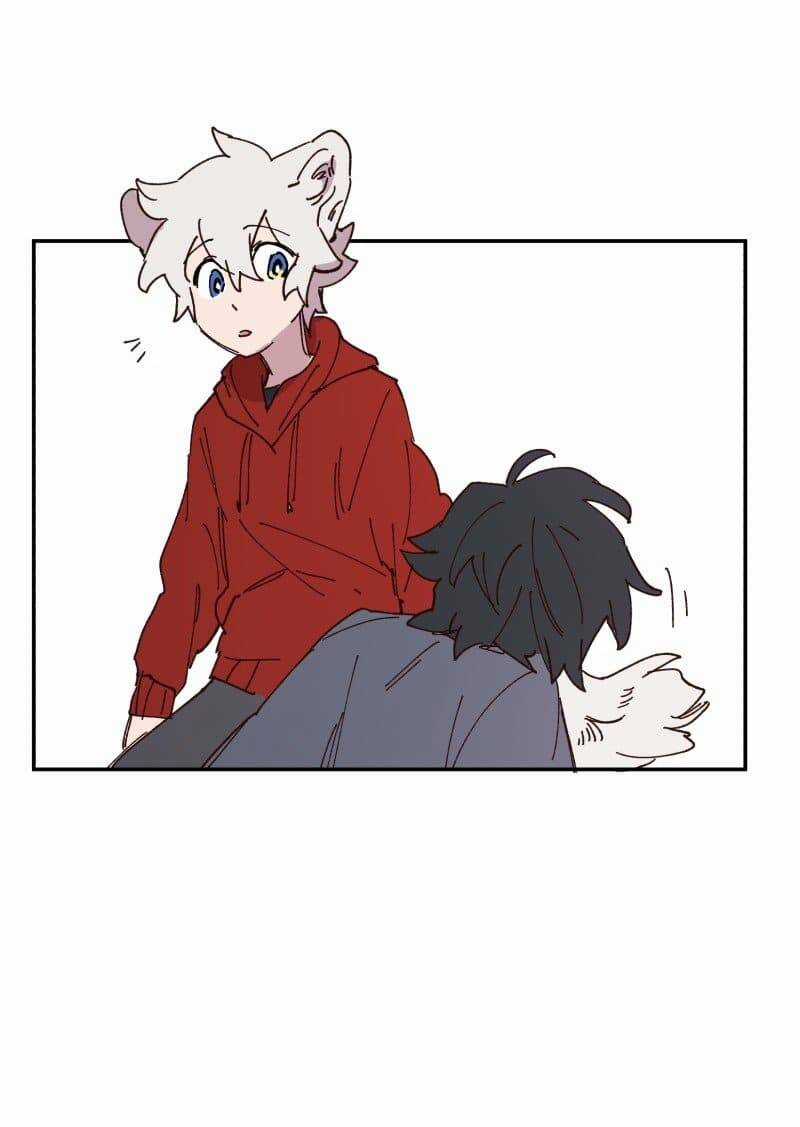 Lumine Chapter 85 trang 11